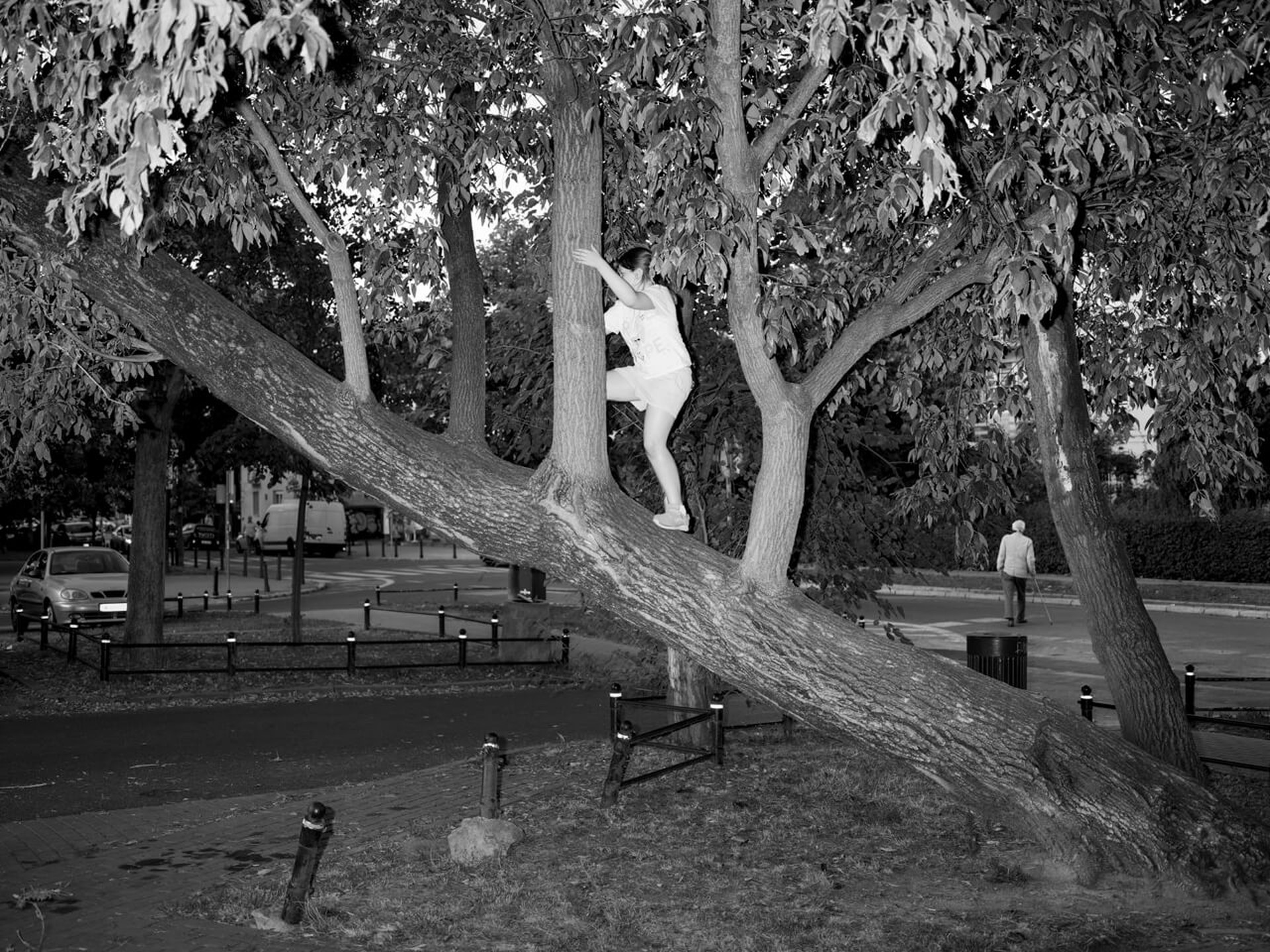  Młoda dziewczyna wspinająca się na pochylone drzewo. Ujęcie 3. 