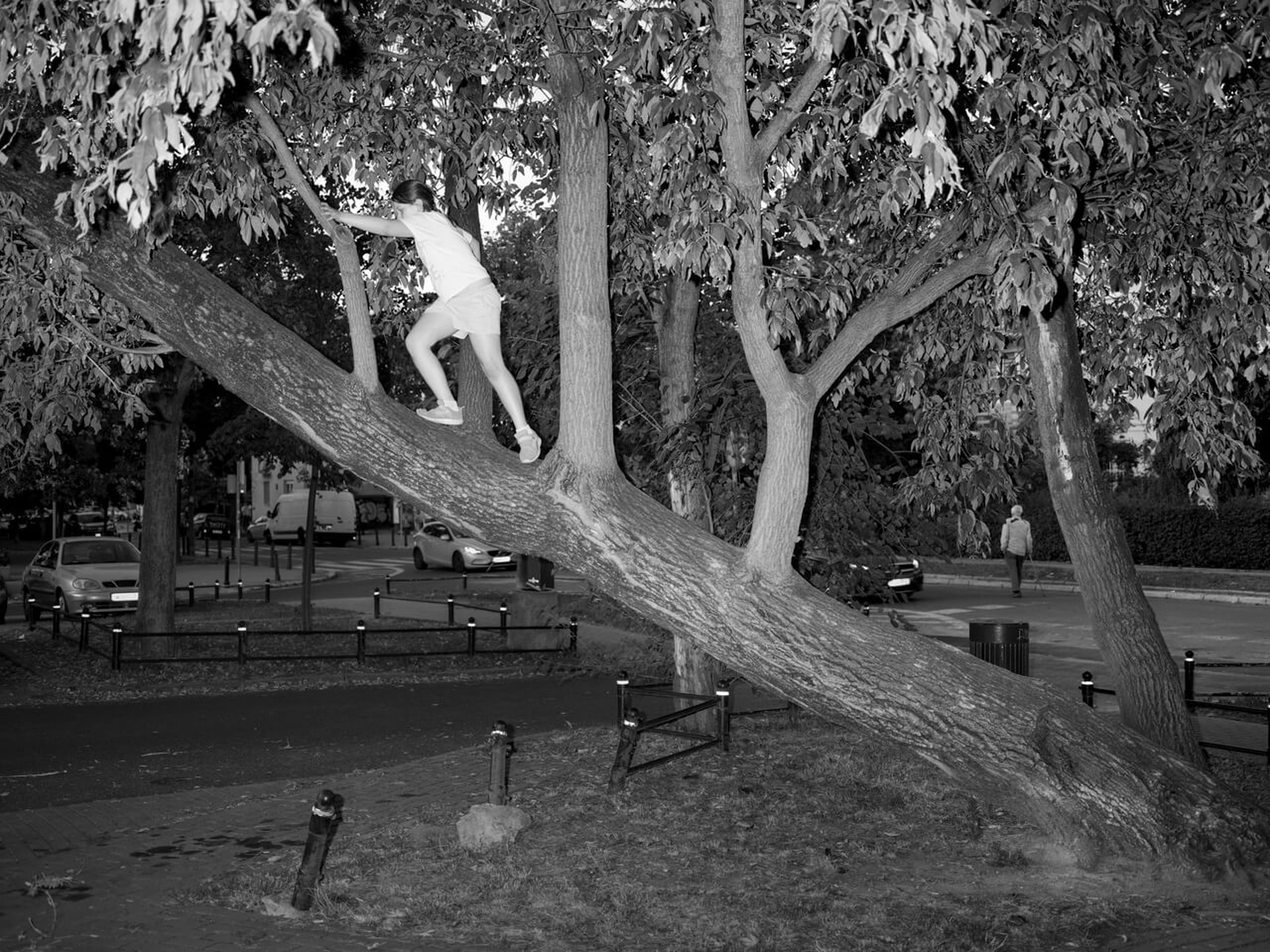 Młoda dziewczyna wspinająca się na pochylone drzewo. Ujęcie 4. 